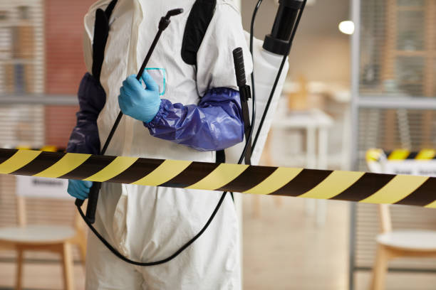 Professional Hoarding Cleanup technician working in Milton, FL